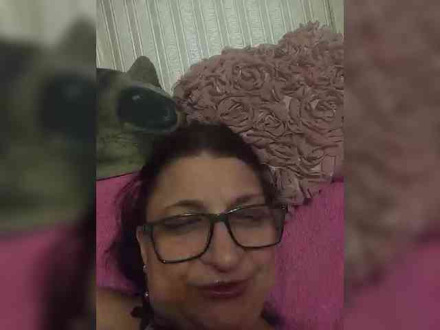 milisenta webcam