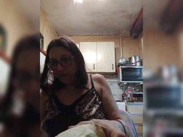 milisenta webcam