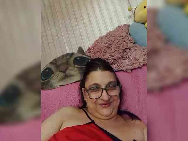 milisenta webcam