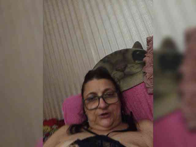 milisenta webcam