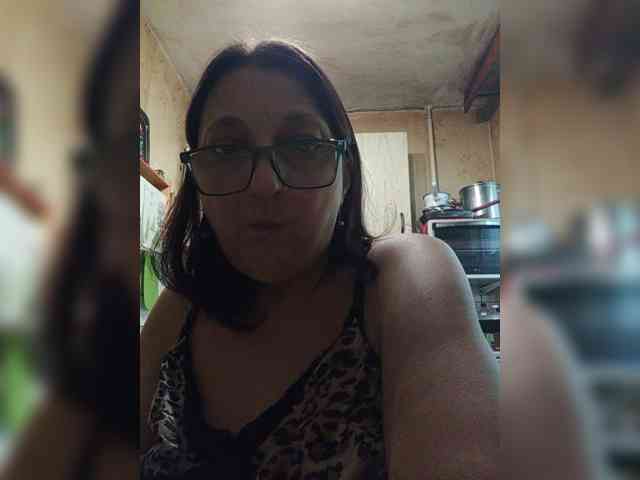 milisenta webcam