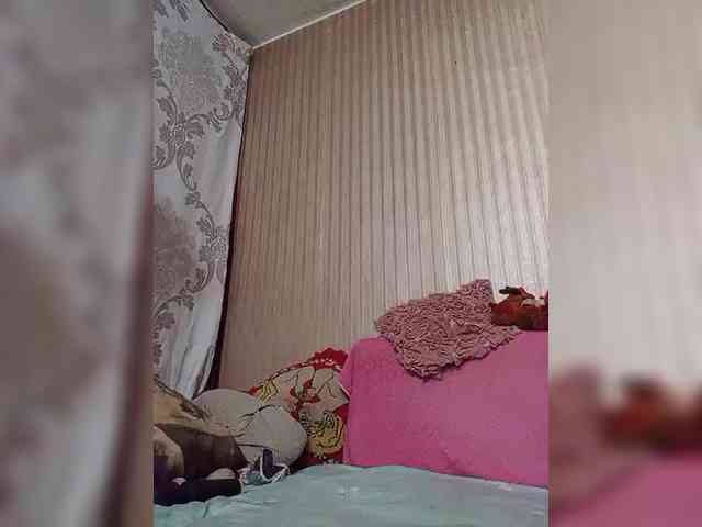 milisenta webcam