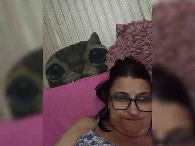 milisenta webcam