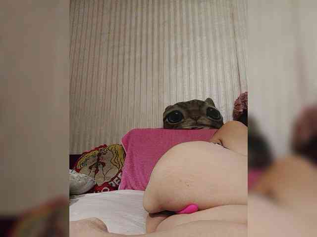 milisenta webcam