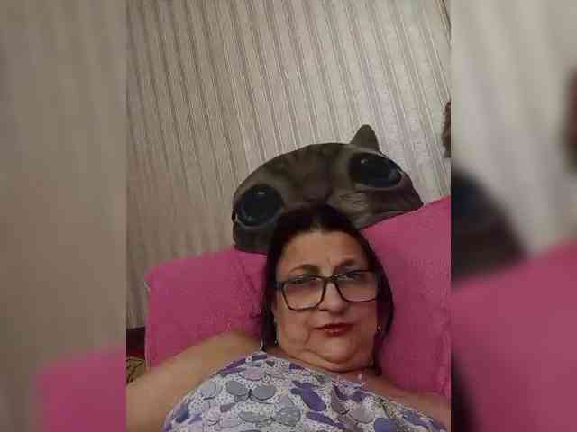 milisenta webcam
