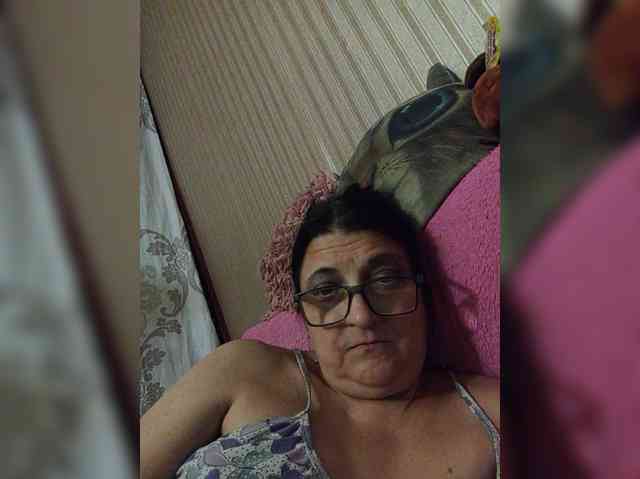 milisenta webcam