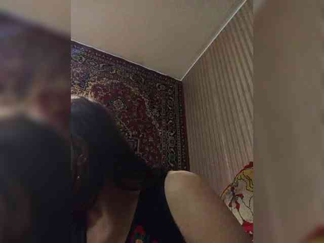 milisenta webcam