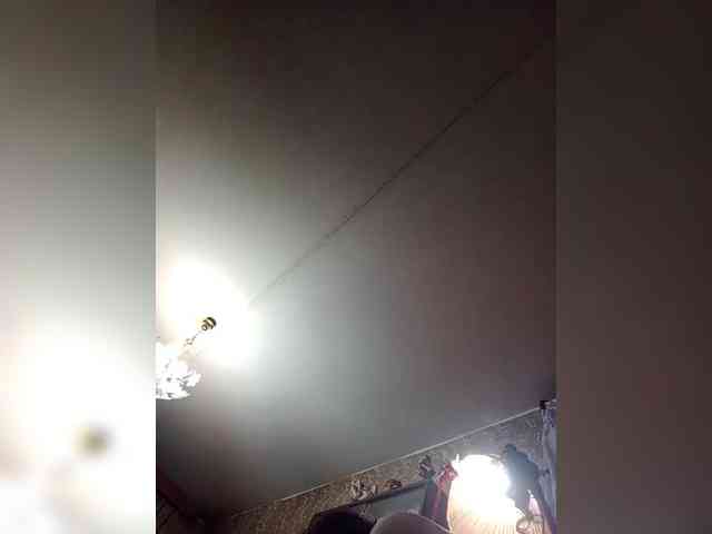 milisenta webcam