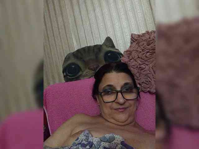 milisenta webcam