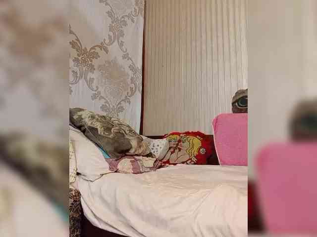 milisenta webcam