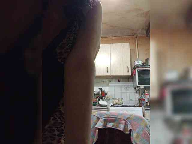 milisenta webcam