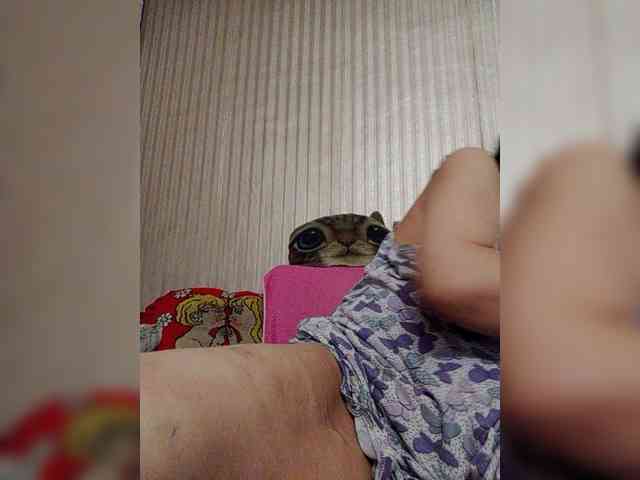 milisenta webcam