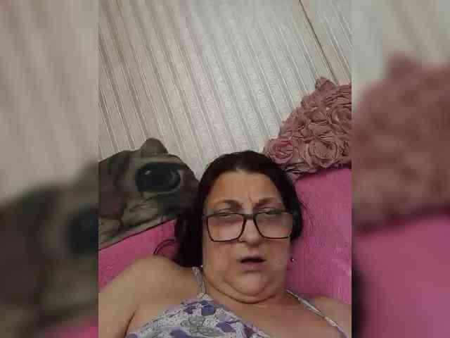 milisenta webcam