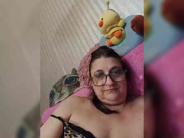 milisenta webcam