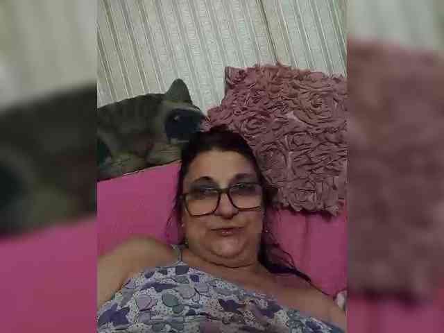 milisenta webcam