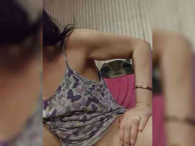 milisenta webcam