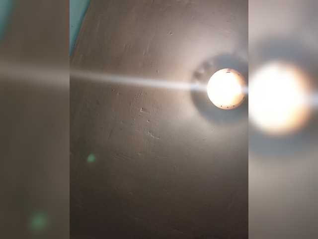Chicopollaa