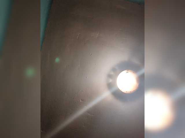 Chicopollaa