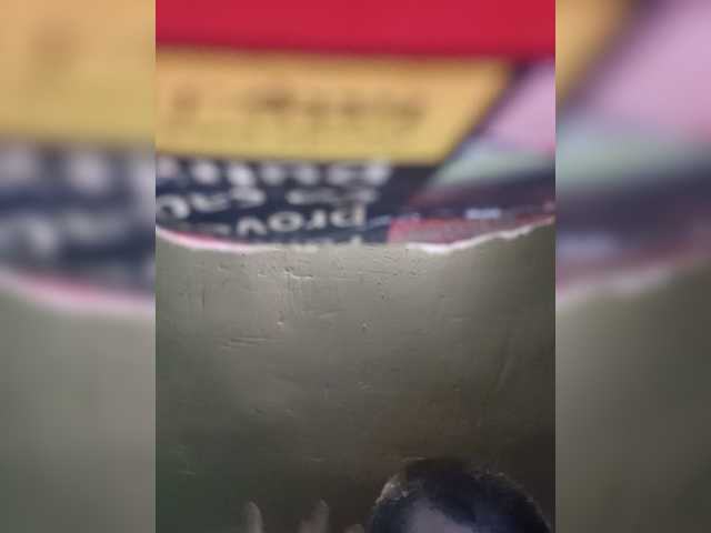 Chicopollaa