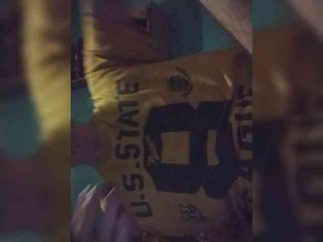 Chicopollaa