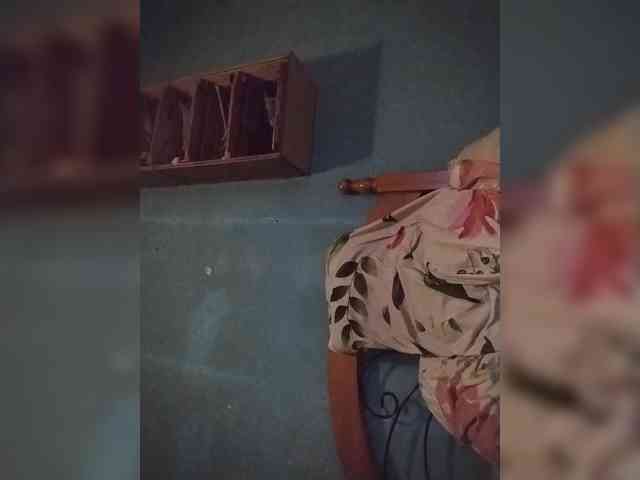 Chicopollaa