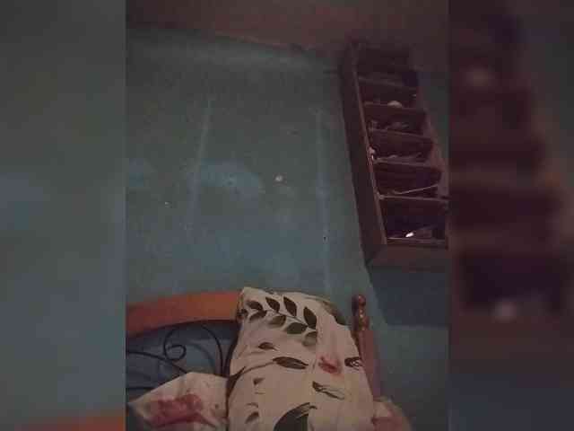Chicopollaa