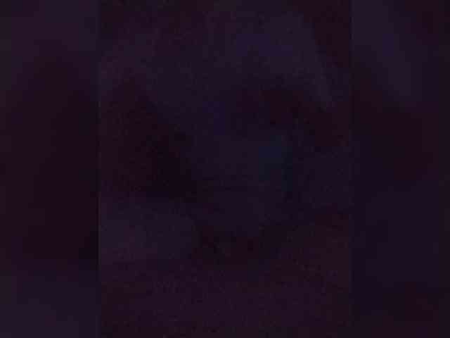 Chicopollaa