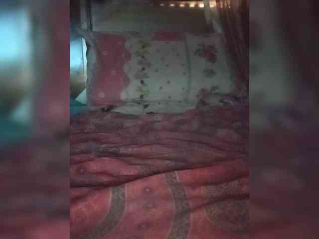 Chicopollaa