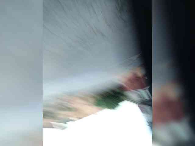 Chicopollaa