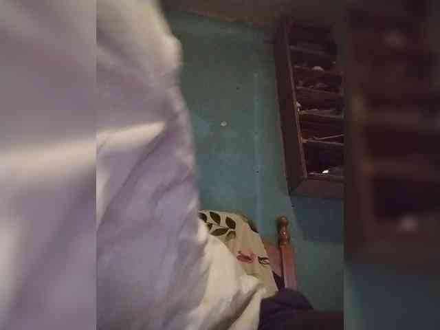 Chicopollaa