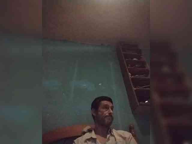 Chicopollaa