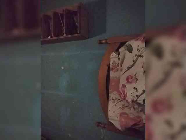 Chicopollaa