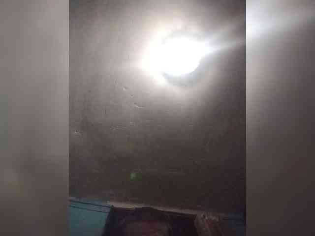 Chicopollaa