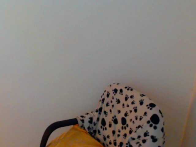meganmiauu live webcam show