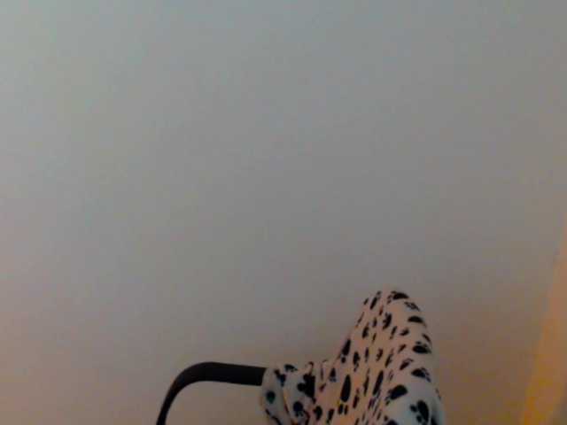 meganmiauu live webcam show