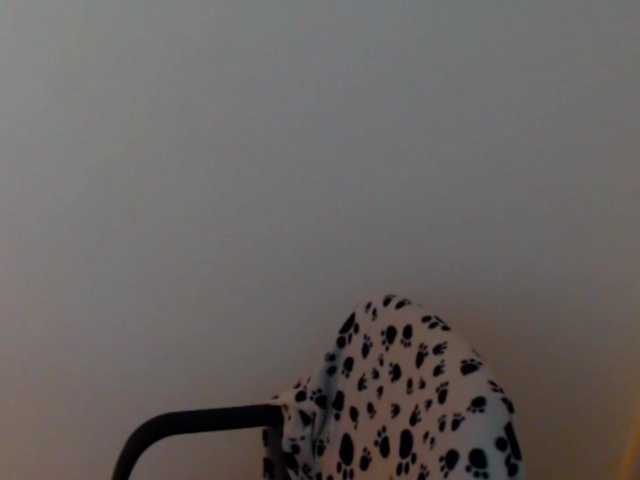 meganmiauu live sex show