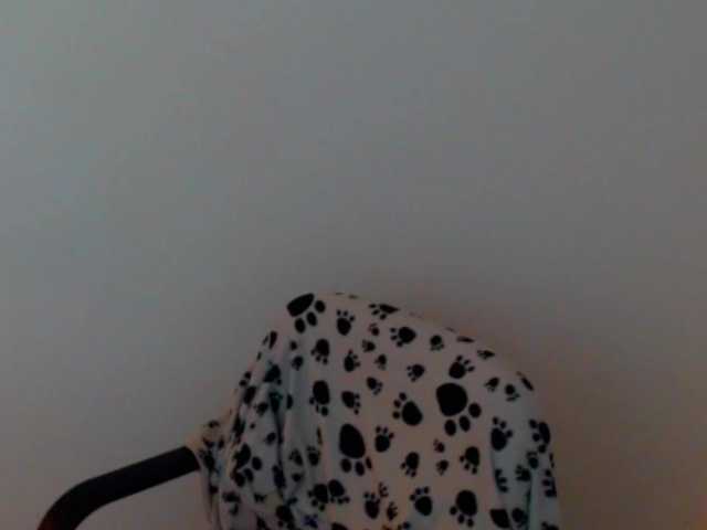 meganmiauu live cam on BongaCams