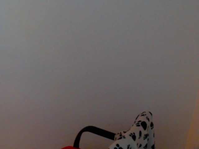 meganmiauu live webcam show