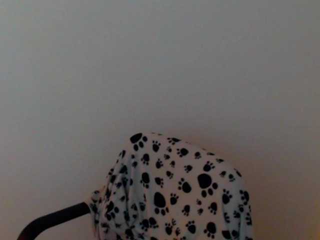 meganmiauu live cam on BongaCams
