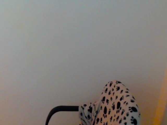 meganmiauu live webcam show