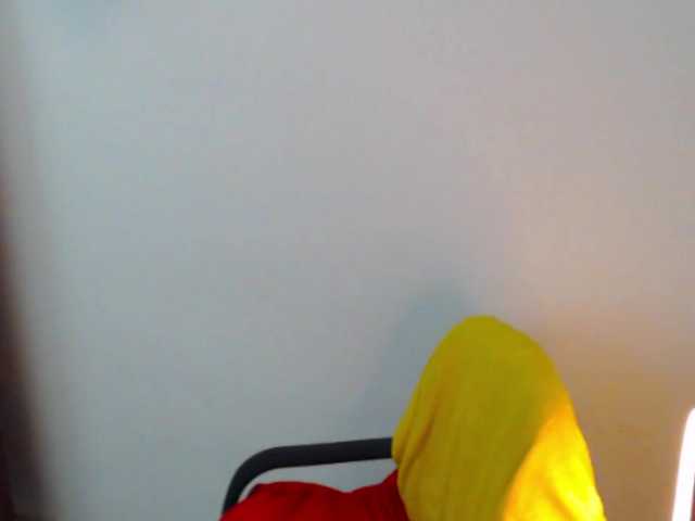 meganmiauu live cam on BongaCams
