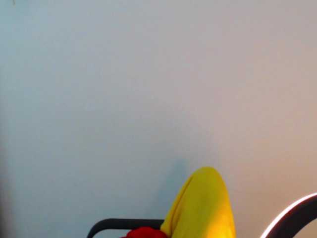 meganmiauu live cam on BongaCams