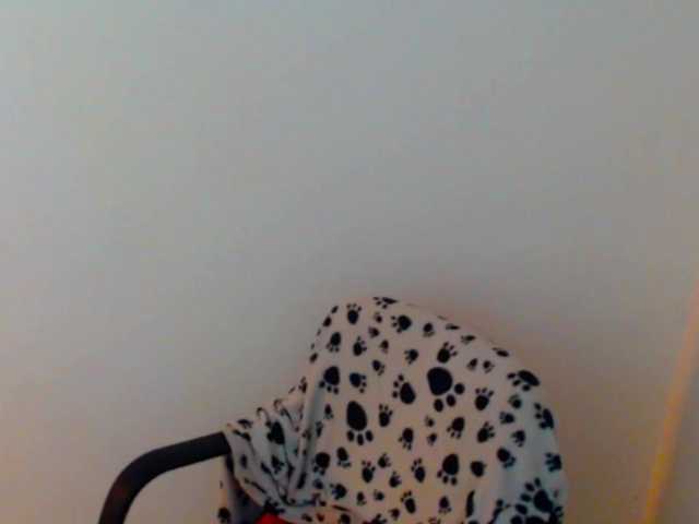 meganmiauu