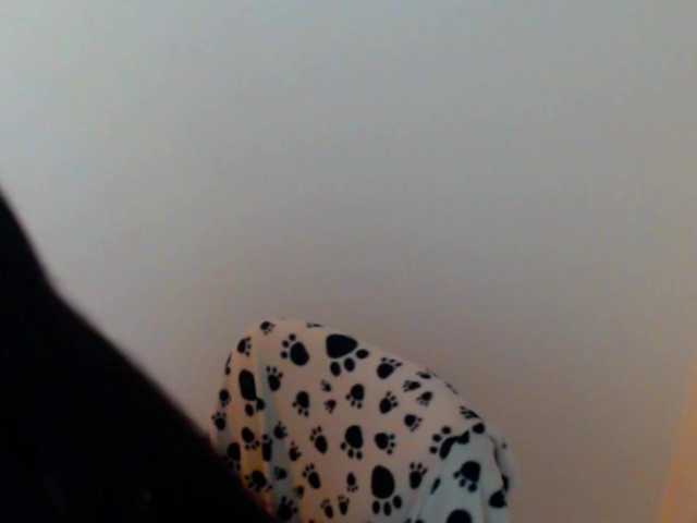 meganmiauu live cam on BongaCams