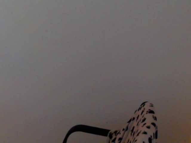 meganmiauu live webcam show