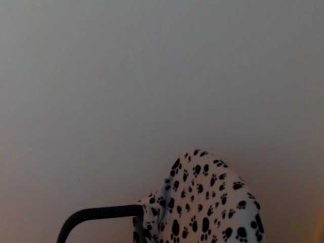 meganmiauu live webcam show