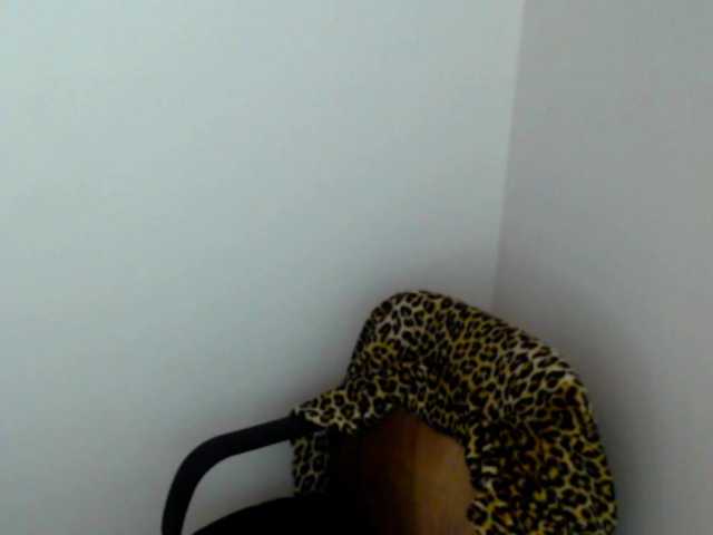 meganmiauu