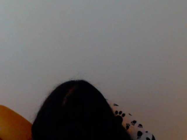 meganmiauu live cam on BongaCams