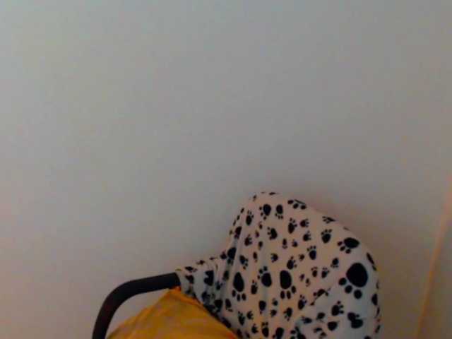 meganmiauu live webcam show