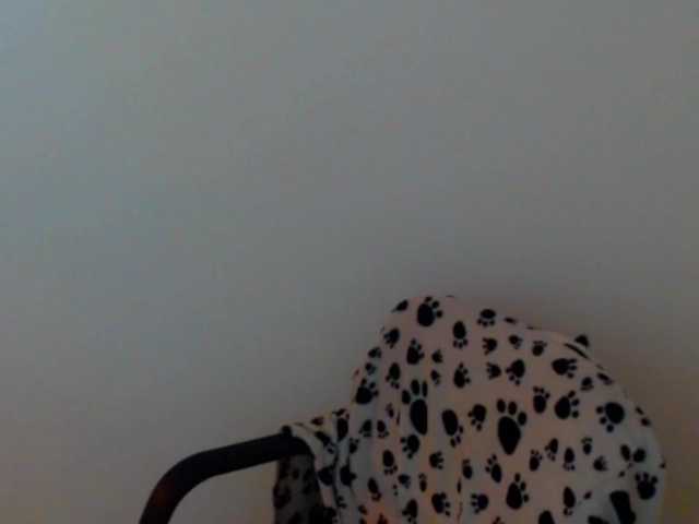 meganmiauu live cam on BongaCams